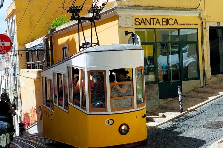 Elevador de Bica