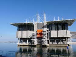 Oceanário di Lisbona